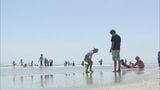 福島・いわき市の海水浴場　海開きは7月18日　8月16日までの30日間設置|TBS NEWS DIG