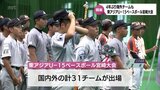 4年ぶりに海外チームも 「東アジアU-15べースボール宮崎大会」が宮崎市で開幕|TBS NEWS DIG