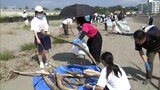 酒井法子さんも参加 延岡市で海ごみゼロフェスティバル|TBS NEWS DIG