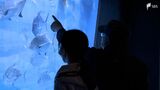 “三保の水族館”53年の歴史にいったん幕　惜しむ声絶えず…5月から予約制で無料公開＝静岡・清水区|TBS NEWS DIG