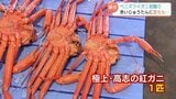 富山湾の味覚…ベニズワイガニ漁が解禁!記録的不漁からの復活なるか 競りでは衛生面を考慮した変化も 富山・射水市 | 富山のニュース|天気・防災|チューリップテレビ