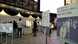 日本酒用の酵母で冬仕込む本格芋焼酎「フルーティーで飲みやすい」彩響をPR 鹿児島 | 鹿児島のニュース|MBC NEWS|南日本放送