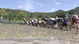 小学生が田植え体験 おととしはスズメの食害去年は大雨・・・今年こそは豊作願って 福岡|TBS NEWS DIG