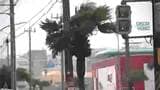 台風18号 奄美地方中心に交通に乱れ 鹿児島 | 鹿児島のニュース|MBC NEWS|南日本放送