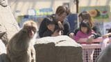 「おくち大きくてかわいかった!」城山動物園で春の動物園まつり・長野県長野市|TBS NEWS DIG