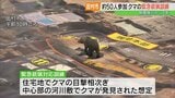 クマの緊急銃猟、田村市で訓練 県内でこれまで5回実施、人員確保など課題 福島|TBS NEWS DIG