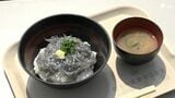 「生で食べるには良い大きさで鮮度もいい」“生シラス丼”が名物の田子の浦港漁協食堂が1週間遅れでオープン 水揚げ量減少の影響で【静岡】　|　静岡のニュース | SBSNEWS | 静岡放送