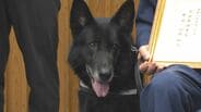“驚異の嗅覚”警察犬セレスティオ号 目撃情報とは真逆の方向へ…行方不明者をスピード発見 2度目のお手柄 | 大分のニュース|OBS NEWS|大分放送