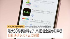スマホ新法で何が変わる？アップルとグーグルに規制 “ゲームアプリなどの課金”手数料引き下げへ| TBS CROSS DIG with Bloomberg