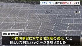 「メガソーラー」課題解決へ　政府が法規制強化など3本柱の対策パッケージ取りまとめ|TBS NEWS DIG