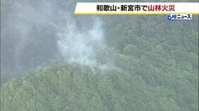 和歌山・新宮市の山林から煙…火災とみて消防が現場に急行 防災ヘリは定期検査で運休中、奈良県の防災ヘリに応援を要請|TBS NEWS DIG