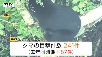 県内でクマの目撃相次ぐ きょうは山形市、米沢市などで目撃 引き続き