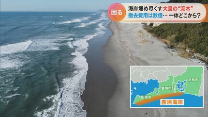 出所不明の流木に埋め尽くされた海岸、漁師やサーファーに被害も膨大な