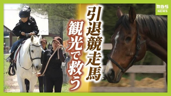 引退競走馬の「第二の馬生」　長く生きられない馬もいる現実…　観光で現状変えるべく奮闘する牧場運営者たち「少しずつでも幸せに過ごせる馬を増やしたい」　|　MBSニュース | 関西の最新ニュースを分かりやすく。