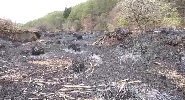 「とんでもないことになる…」約5キロ範囲で下草や衣類焼く火事が3件相次ぐ…長野・下諏訪町…3か所とも普段は火の気がない場所…消防が住民に注意呼びかけ　　|　SBC NEWS | 長野のニュース | SBC信越放送