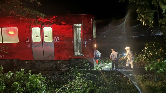 JR日豊本線と豊肥本線の線路内で倒竹相次ぐ　一部区間で運転見合わせ　台風6号の影響　大分|TBS NEWS DIG