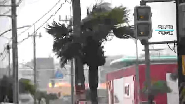 台風18号 奄美地方中心に交通に乱れ 鹿児島|TBS NEWS DIG