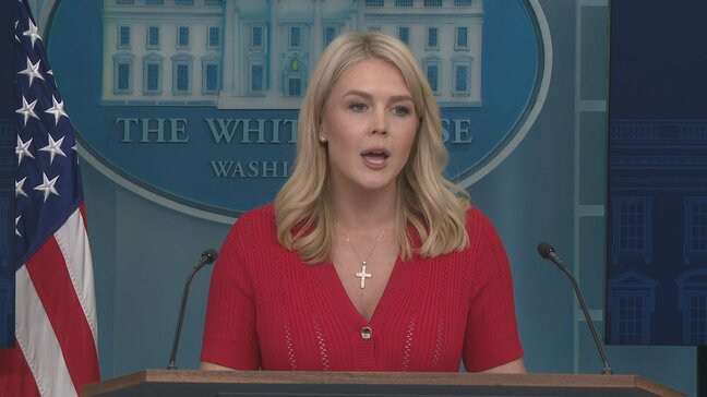 「裁判所は関わるべきではない」ホワイトハウス報道官　関税政策は根拠法を変えて維持の方針　控訴審の裁判所がトランプ関税「差し止め」一時停止の判断めぐり|TBS NEWS DIG