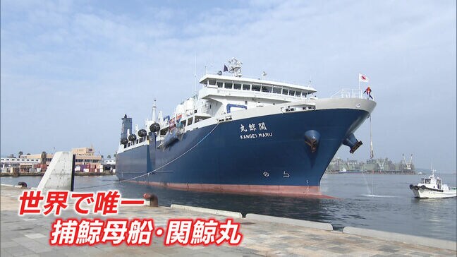 ”海上の巨大工場”世界唯一の捕鯨母船「関鯨丸」が博多港に初入港!最新鋭のシステムでクジラを船内解体 その全貌とは|TBS NEWS DIG