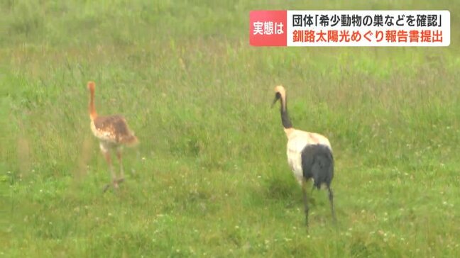 釧路湿原周辺のメガソーラー計画めぐり「希少動物の巣などを確認」民間団体が調査報告書を提出…オジロワシやチュウヒの営巣地　猛禽類医学研究所|TBS NEWS DIG