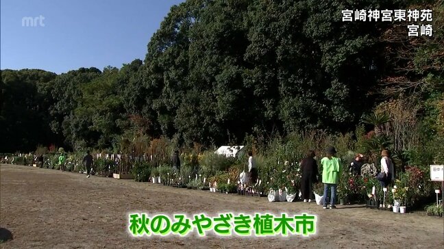 秋のみやざき植木市　始まる|TBS NEWS DIG