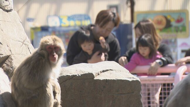 「おくち大きくてかわいかった!」城山動物園で春の動物園まつり・長野県長野市|TBS NEWS DIG