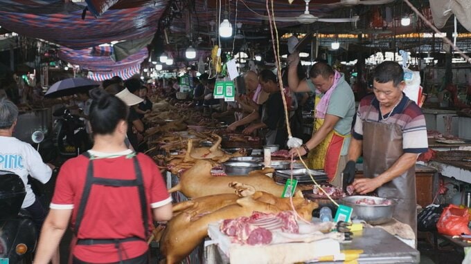犬肉を食べるのは伝統文化か、動物虐待か？中国の「犬肉祭り」に行ってみた|TBS NEWS DIG