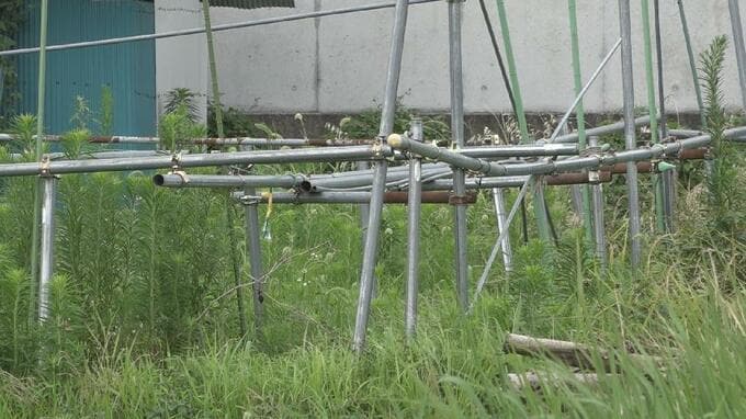 畑で倒れている81歳男性を発見　猛暑日だった前日朝から行方わからず　熱中症の可能性　富山　|　富山のニュース｜天気・防災｜チューリップテレビ