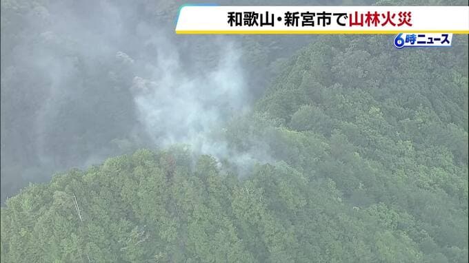 和歌山・新宮市の山林から煙…火災とみて消防が現場に急行　防災ヘリは定期検査で運休中、奈良県の防災ヘリに応援を要請|TBS NEWS DIG
