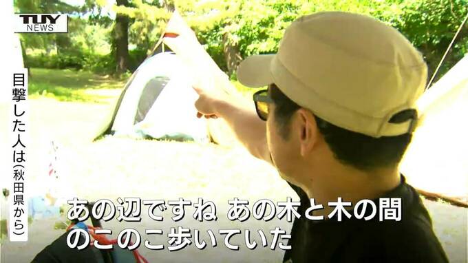 クマ目撃で客が一時避難のキャンプ場、その後の目撃はなし　きょう海水浴場は営業、キャンプ場は営業中止（山形・遊佐町）　|　山形のニュース│TUYテレビユー山形