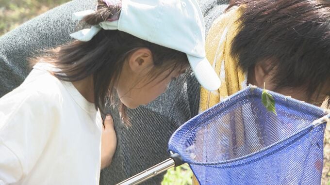 身近な川に関心を「いろんな生き物がいる！」水辺の生き物観察会　|　山口のニュース・天気・防災｜tys NEWS｜ｔｙｓテレビ山口