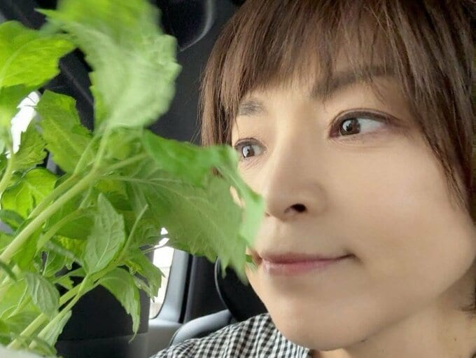 【 がん闘病 】石原詢子　６回目の抗がん剤治療「腿に打つ注射も手足を冷やすのも好きじゃないけど、身体のため。ガンバ！」|TBS NEWS DIG