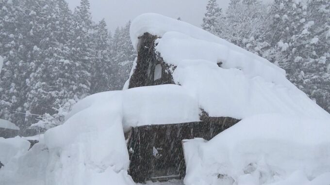 平年の2倍超 積雪2メートル59センチ「何年に１回の雪」白川郷の民宿はキャンセルも 岐阜・白川村　|　名古屋・愛知・岐阜・三重のニュース【CBC news】 | CBC web