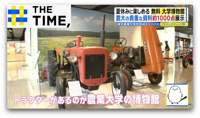 「子どもも大人も長時間楽しめる」体験して“食と農”を学ぶ大学博物館【THE TIME,】 |TBS NEWS DIG
