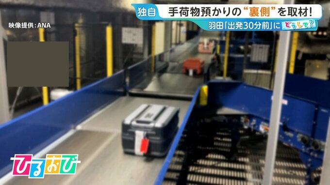 羽田空港の手荷物預け入れ「出発30分前」に！“厳格化”の背景は？手荷物預かりの裏側を取材【ひるおび】|TBS NEWS DIG