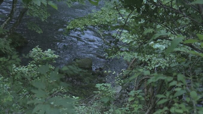  被害者女性は｢舌骨｣折れていた  岐阜･本巣市の“遺体遺棄事件” 強い力で首を圧迫か 女性に防御創なし　|　名古屋・愛知・岐阜・三重のニュース【CBC news】 | CBC web