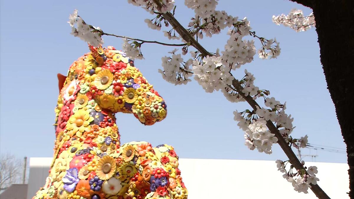 青森・桜前線レポート】十和田市・官庁街通り ～アートと桜～ | 青森の