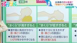 理想の「枕の高さ」はどうやって調べる?正しい枕の選び方【ひるおび】|TBS NEWS DIG
