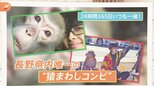長野県 唯一の「猿まわしコンビ」 退職金はサル?仲良し猿まわし【ゲキ推しさん】|TBS NEWS DIG