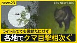 15日は青森・奈良でクマに人が襲われる クマ目撃相次ぐ北海道…函館市ではハンターが行方不明 専門家「繁殖期の後半戦」「おなかのすいている季節の始まり」【news23】|TBS NEWS DIG