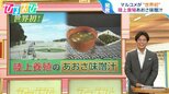 8年間の極秘プロジェクト!“陸上養殖”の「あおさ」味噌汁 9月から販売 栄養に違いは?【ひるおび】|TBS NEWS DIG