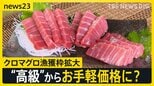 クロマグロ漁獲枠25%拡大で合意 来年はトロ1皿「580円→480円」に? “反対”表明のメキシコが一転して“賛成”【news23】|TBS NEWS DIG