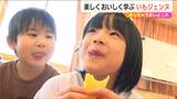 「ホクホクでおいしい」濃厚な甘さ&とろける食感のブランドさつまいも『いもジェンヌ』園児がおいしく学ぶ|TBS NEWS DIG