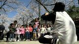 【シリーズ・令和のサクラ】400メートル続く桜のトンネル　133本の「がいせん桜」が7分咲き【岡山・新庄村】　|　岡山・香川のニュース | 天気 | RSK山陽放送