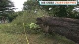 最大瞬間風速25.8メートル、台風15号の強風 いわき市で倒木や停電3400戸 福島|TBS NEWS DIG
