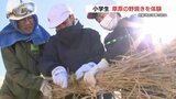 阿蘇地方に春の訪れ告げる『野焼き』　草原守る取り組みを子どもたちが体験　熊本　|　熊本のニュース｜RKK NEWS｜RKK熊本放送
