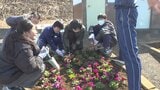 「殺風景で、観光客がきやすい環境にしたかった」　展望駐車場に花植え　小学生が市に提案　山梨・牛奥みはらしの丘|TBS NEWS DIG