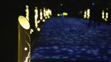 福岡城を幻想的に彩る「光のナイトウォーク」6日から開催 | 福岡のニュース|RKB NEWS|RKB毎日放送