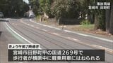 歩行中の高齢者が軽乗用車にはねられ死亡　宮崎市田野町の国道269号|TBS NEWS DIG