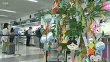 幼稚園児が七夕の飾り付け 大分空港に笹と短冊 | 大分のニュース|OBS NEWS|大分放送